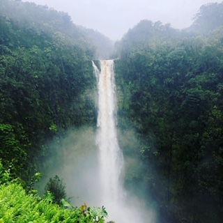 Akaka Falls #5